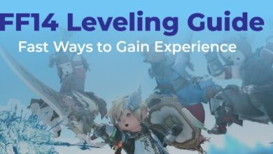 Ff14 Leveling Guide