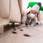 Learning that there are pests in your home