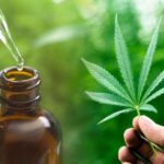 cbd advantages