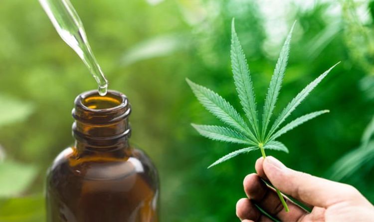 cbd advantages