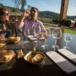 Willamette Valley Wine Tours