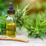 How CBD Oil Works