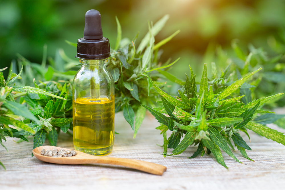 How CBD Oil Works