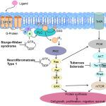 Neurofibromatose Type 1